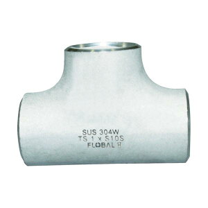 FLOBAL ���a�`�[�Y S10S 09100062 B-TS-10S-20A