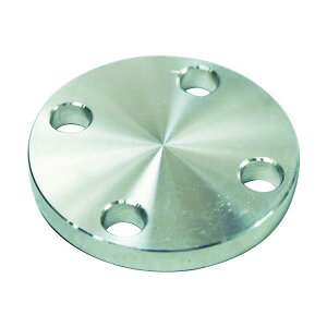 FLOBAL SUS304 5K �~�t�����W 14100553 SUS-5K-BL-FF-15A
