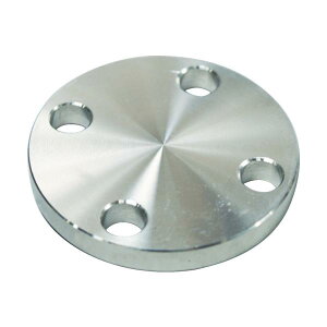 FLOBAL SUS304 5K �~�t�����W 14100557 SUS-5K-BL-FF-40A
