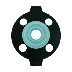 �G�X���� PTFE(�e�t����)�p�b�L�� 15A JIS10K PP15