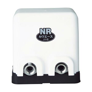 ��{ �J���G�[�X NR256S