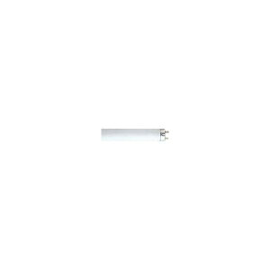 ���� �u�������v�����E5D ��i�����v�d��40W FLR40S EX-L/M-H�y25�{�z
