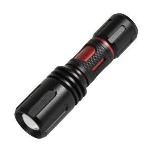 NICHIDO �t�H�[�J�XLED���C�g �A���^���X �d�r�� 2W ���O�^ �����F 140Lm SL-2F