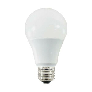 NICHIDO LED�d��10W LDA10D-H-N01W