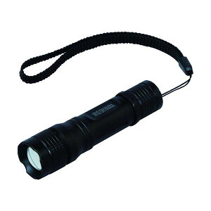 IRIS 567619 PROLEDS LED�n���f�B���C�g 100lm �Y�[���@�\�t�� LWK-100Z