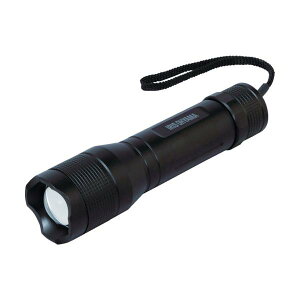 IRIS 567621 PROLEDS LED�n���f�B���C�g 500lm �Y�[���@�\�t�� LWK-500Z