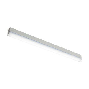 HotaluX LED�I����FL20�`����1000lm MMK2101/10-N1