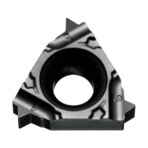 ���Z�� ���a�˂��؂���H�p�`�b�v (���[�g���˂� M) PR1535 11IR175ISO-TF PR1535�y5�z