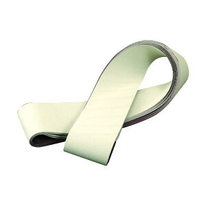 3M 305EA �g���C�U�N�g�x���g A5 100X915mm #3000 305E 5 100X915 FL�y10�{�z