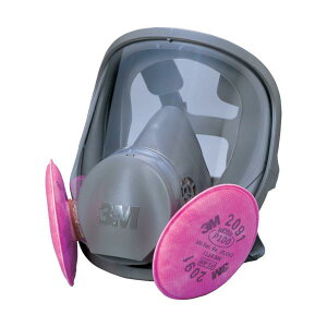 3M ��֎��h����}�X�N 6000F/2091-RL3 L�T�C�Y 6000F/2091-RL3L