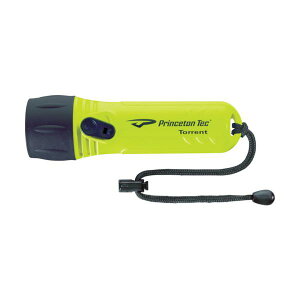 PRINCETON LED���C�gTorrent LED Neon �C�G���[ T500NY