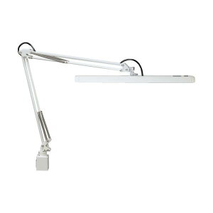 �R�c LED�f�X�N���C�g Z���C�g �z���C�g Z-10G W