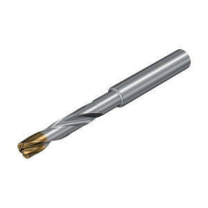 SANDVIK �R���h����860�]GM ���d�\���b�h�h����(720) X1BM 860.1-0590-048A1-GM X1BM