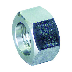 ASOH SUS �t���L�`���[�u�p�܃i�b�g PF1/2 PH-7N04