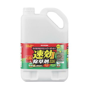 IRIS 110884 ���������� 4L WSJ-4L