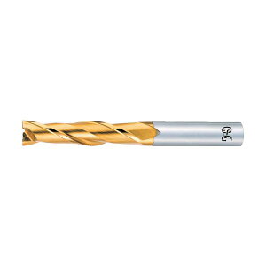 OSG �n�C�X�X�N�G�A�G���h�~�� TiN�R�[�g2�n�����O 8402224 EX-TIN-EDL-2.4