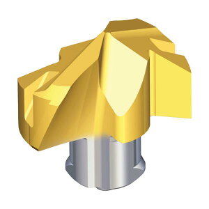 TAEGUTEC �n��������h�����p�w�b�h �h�������b�V�� TCD-245-K TT9080