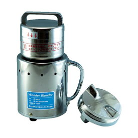 大阪ケミカル PN-W04 WB-1用標準交換刃 PN-W04