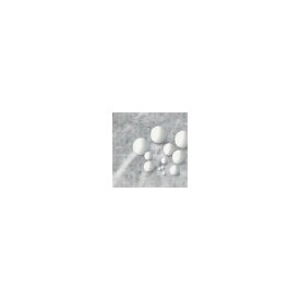 フロンケミカル フッ素樹脂(PTFE)球バリュータイプ 12.7Φ 8個入り NR0346-011