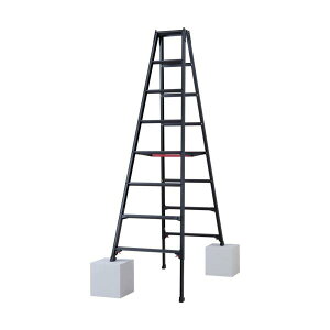 �n�Z�K�� �L�k�r��(�u���b�N���[�x��)RYZB-24a(10913) RYZB-24A��L��