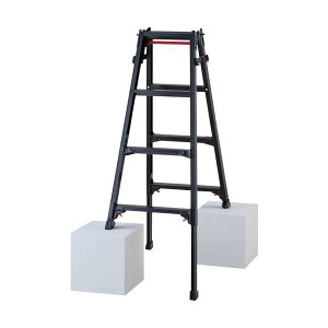 �n�Z�K�� �n�V�S���p�L�k�r��(�u���b�N���[�x��)RYZB-12a(10909) RYZB-12A��L��