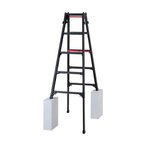 �n�Z�K�� �r���L�k���A���~�͂������p�r�� RYRLB�^ 5�i(10770) RYRLB-15��L��