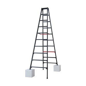 �n�Z�K�� �r���L�k����p�r�� �V���K�}�� �u���b�N 10�i(10765) RYRB-30��L��