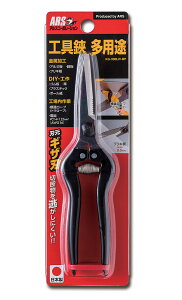 �y1�{�܂Ń��[���։\�z��ARS/�A���X�@KG-300LW-BP�@�H���� ���p�r�@�͂���