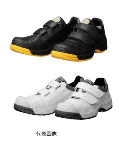 yJSAA A퍇izDYNASTY y_CiXeBzhP SCvXj[J[}WbNe[v^Cv DYPRV[Y