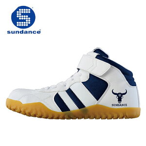 T_X/SUNDANCE@GT-EVOX@zCglCr[@JSAAKiA@SC@ƌC@~hJbgZ[teB@ϖ@Xj[J[