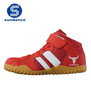 T_X/SUNDANCE@GT-EVOX@bhzCg@JSAAKiA@SC@ƌC@~hJbgZ[teB@ϖ@Xj[J[