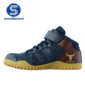 T_X/SUNDANCE@GT-EVOX@CfBSuE@JSAAKiA@SC@ƌC@~hJbgZ[teB@ϖ@Xj[J[