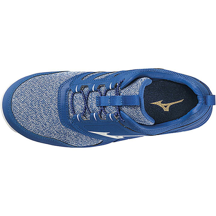 楽天市場】【処分特価】☆ミズノ/MIZUNO F1GA190327 安全靴 ALMIGHTY 