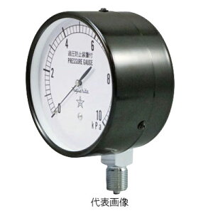 ���E���@�X�^�[�Q�[�W�@�����v�@CA411-211�@AT3/8×100×30kPa�@���̓����W�@0�`30(kPa)