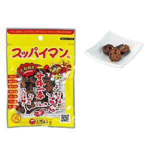 {Ώ\Ё@375950@XbpC}Ô~ԁ@˂ʂ@MǑ΍