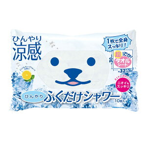 yszjbg@HO-220A@ЂӂV[@10@^IV[g@@L@@MǑ΍