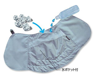 yszjbg@HO-211@N[rbgEbgJo[@ACXC@wbgt^Cv