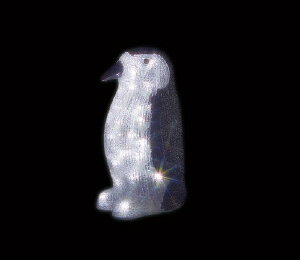 WFtR@LEDWCg`[t@yMijA@ SJ-F40-JT@OpC~l[V