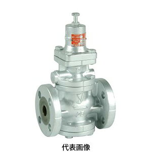 �y������s�z�����V�^�P�@GP-1000�@���C�p�����ف@�Ăьa 21/2B(65A)�@�t�����W�ڑ�