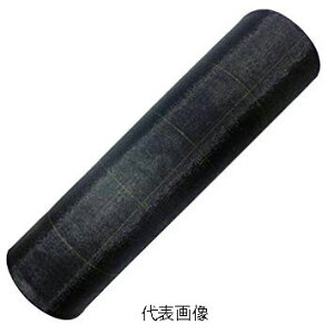 y@lzysz{ChNX@BB2218@̓AOV[g@hV[g@@3m×50m@@@R[h(7561385)