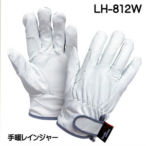 咆YƁ@gCW[@LH812W@؊v(FAN)@Lit[jTCY@(10o)@Je@Ɨp