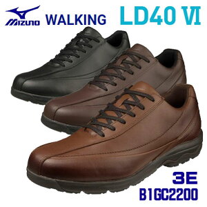 ~Ym/MIZUNO B1GC2200@WALKING@LD40 VI@3E@~YmEF[uځ@EH[LOV[Y@(24.5`30.0cm)@Y