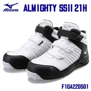 I[}CeBSS II 21H F1GA2205