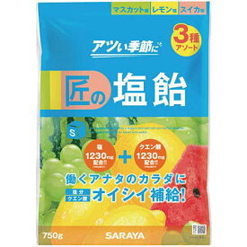 ☆サラヤ　27860　匠の塩飴　マスカット・レモン・スイカアソート　750g　　　コード（7235161）