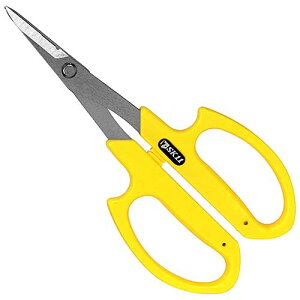 y[֑ΉzY-SK11@Ntg֗͂݁@@Y