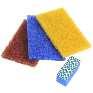 �y���[���֑Ή��z��E-Value�@�����{�K���X�̂��|���Z�b�g�@�����{�K���X�p�@�@�����Y��