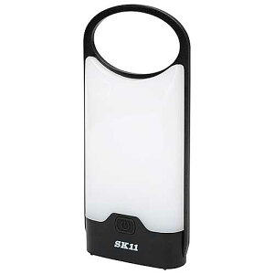 SK11@SLT-100DB-BK@drX^@ubN@邳őF100lm@@Y