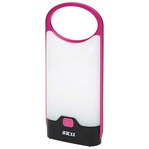 SK11@SLT-100DB-PK@drX^@sN@邳őF100lm@@Y