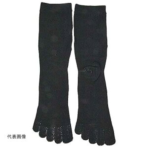 SK11@SA2426BLK-M-5F@SC\bNXSTRONG@24`26cm@ubN@5{w^Cv@@Y