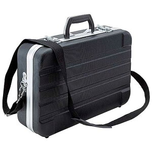 ��SK11�@ABST-428�@ABS�P�[�XABST�|428�@�@�����Y��